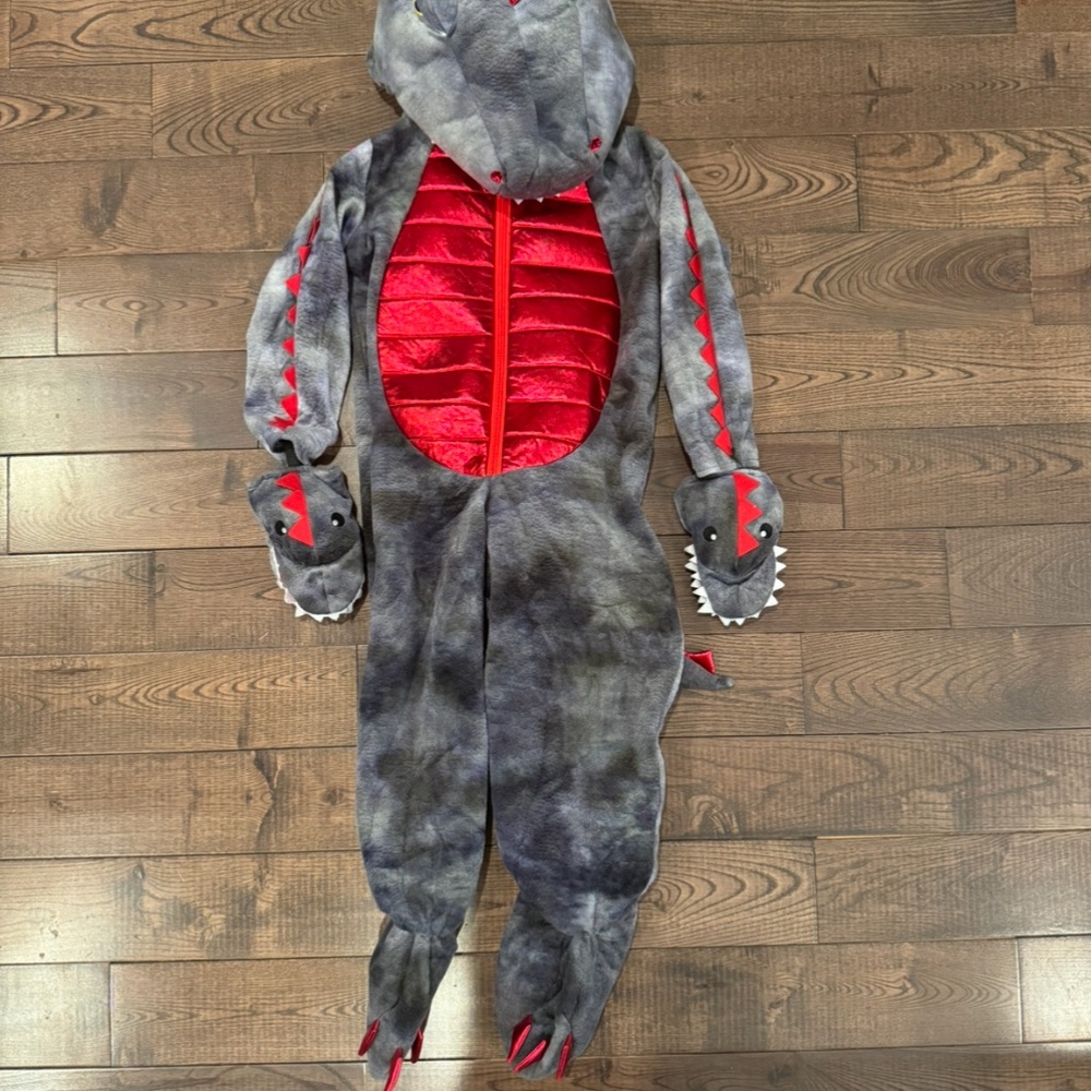 Dinosaur costume